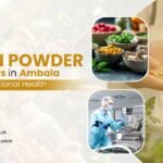 Protein Powder Manufacturers in Ambala