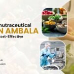 Schedule M Nutraceutical Manufacturing